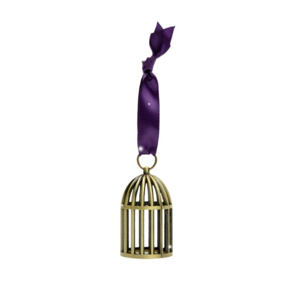 NEW IN BOX Speak Now (Taylor's Version) Bird Cage Ornament - Picture 1 of 2